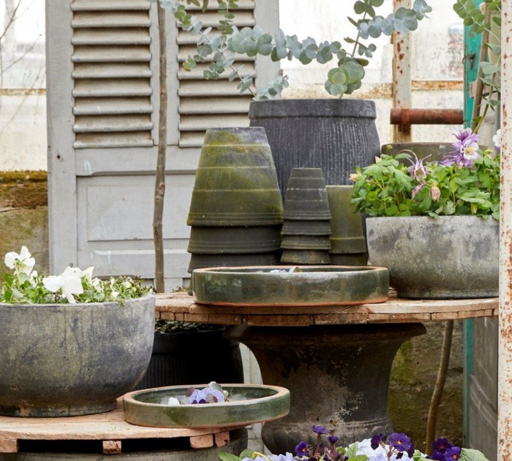 Collection of potted plants and garden tools in a rustic outdoor setting
