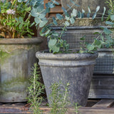 aged dark grey clay plant pot