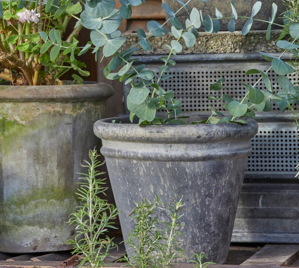 aged dark grey clay plant pot