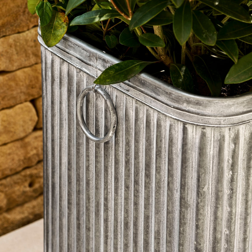 Metal planter with green plant against a stone wall background