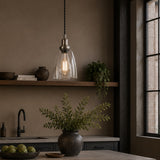 Modern kitchen with pendant light, plants, and window view.