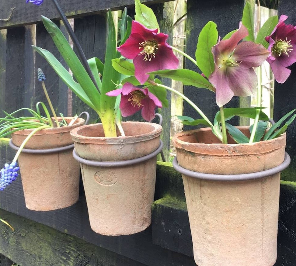 wall hanging terracotta plant pot 