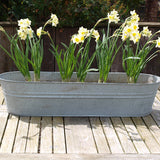 oval zinc planter