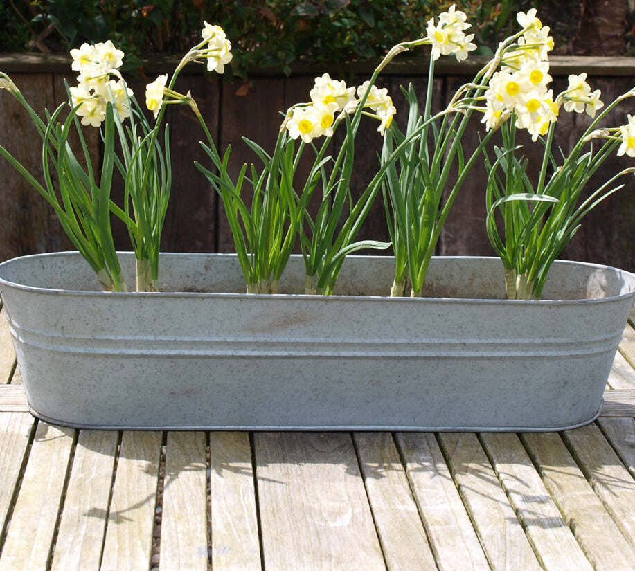 oval zinc planter