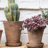 aged terracotta plant pot