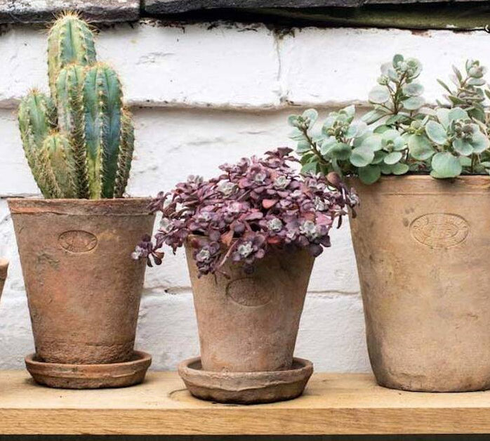 set of aged terracotta plant pots 