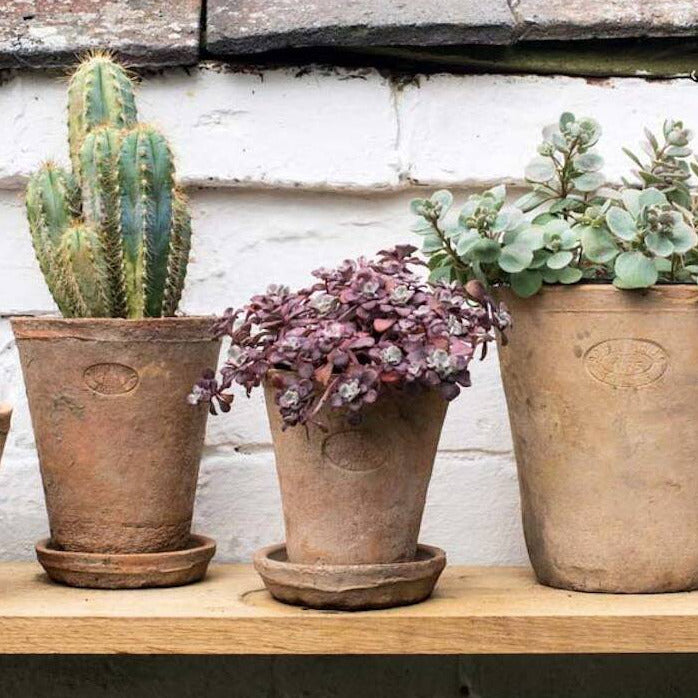 set of aged terracotta plant pots 