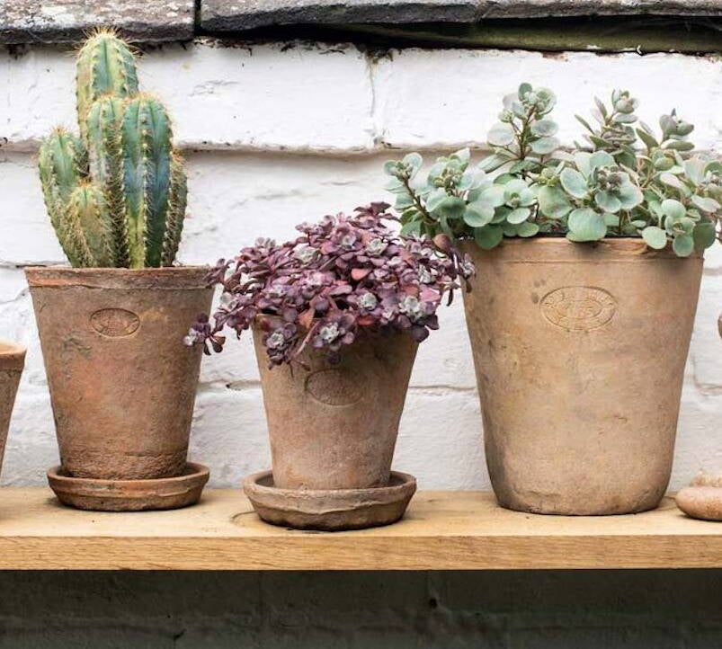 set of aged terracotta plant pots 
