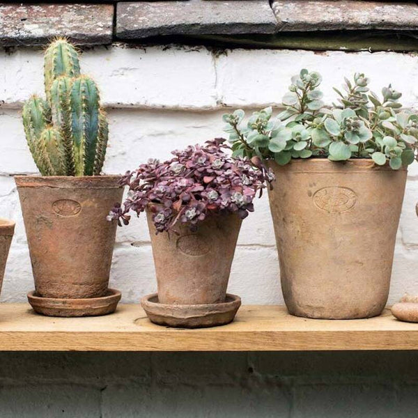set of aged terracotta plant pots 