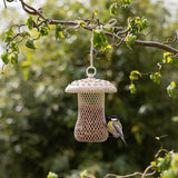 Parasol Mushroom Shaped Bird Nut Feeder