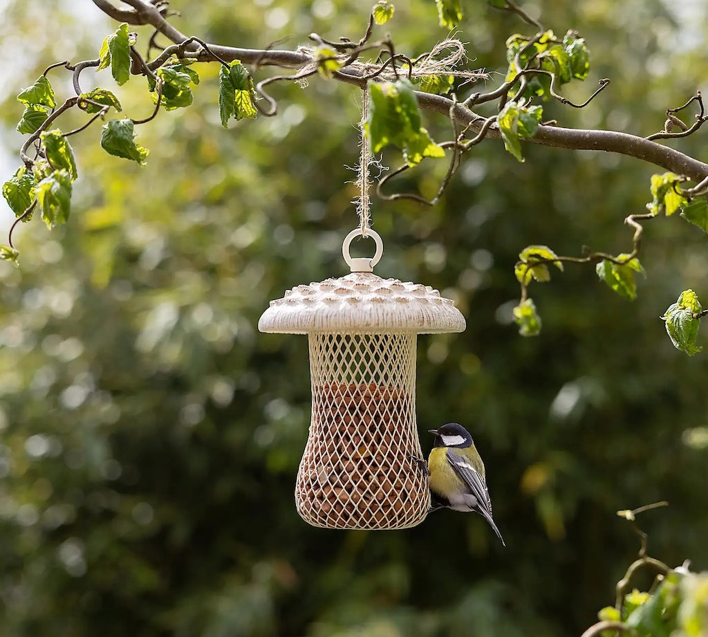 Parasol Mushroom Shaped Bird Nut Feeder