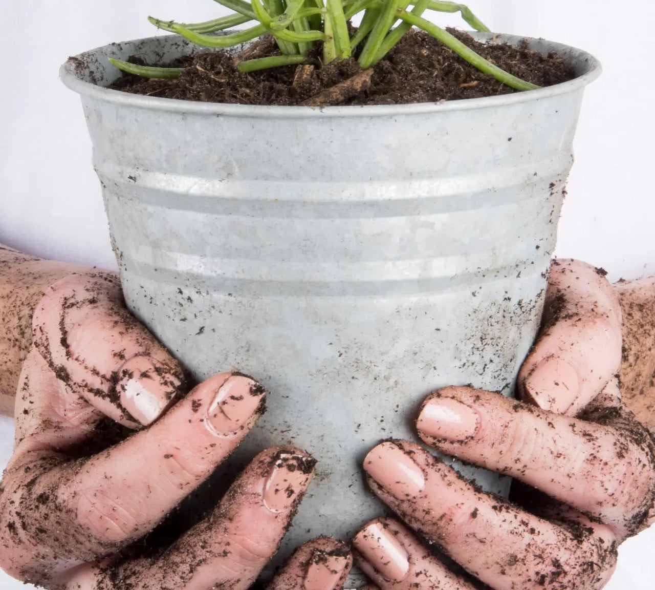 Person holding a round zinc plant pot 