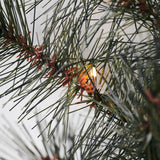 detail of LED lights on wreath