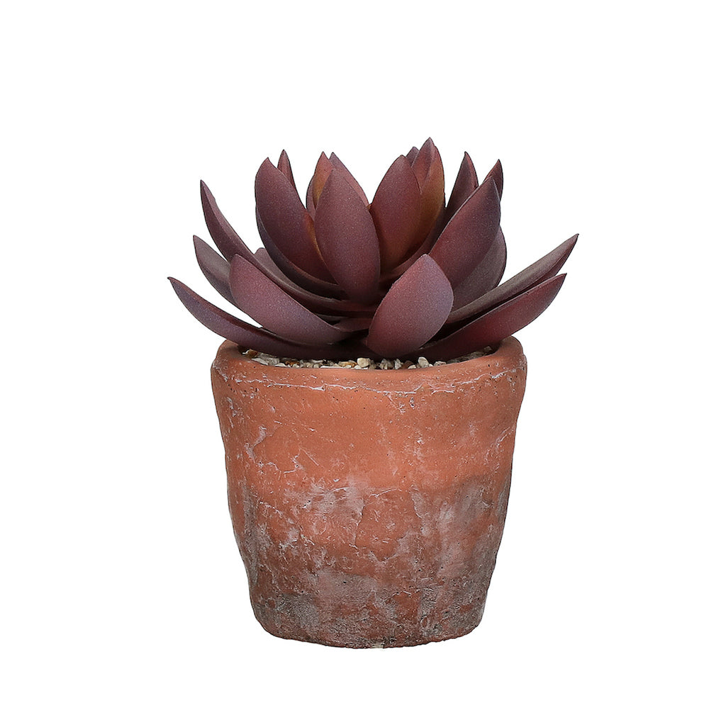Artificial succulent plant in terracotta pot