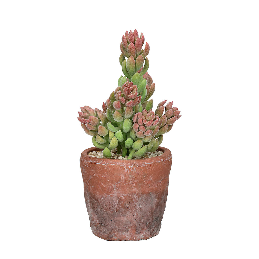 Artificial Succulent in Terracotta Pot