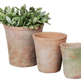 terracotta plant pot