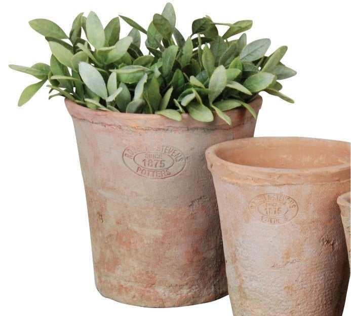 terracotta plant pot