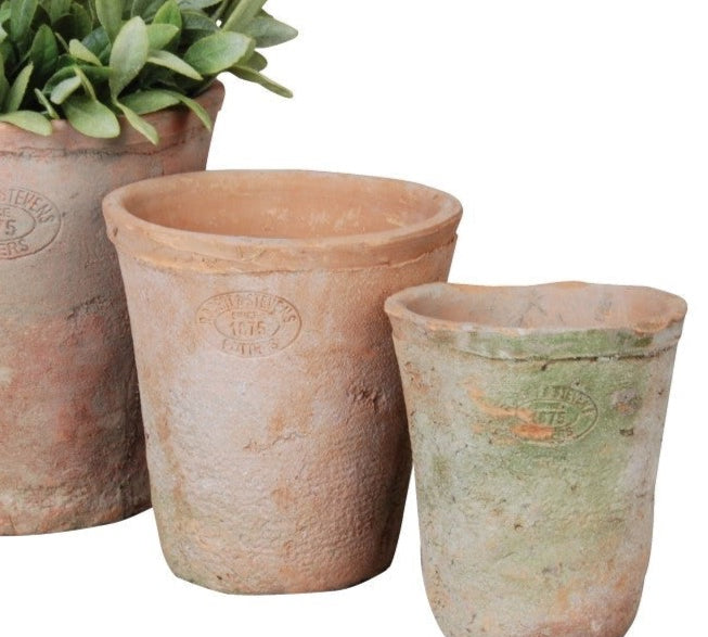 terracotta plant pot