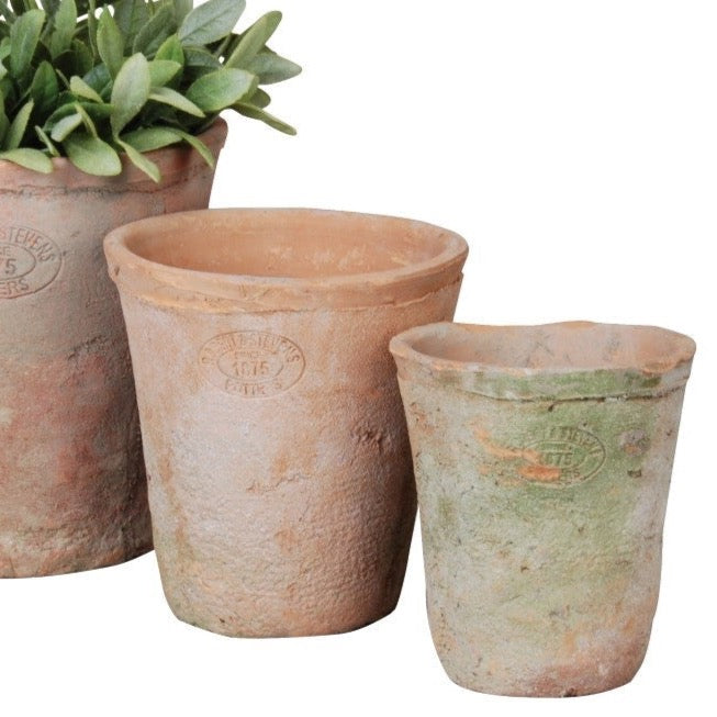 terracotta plant pot