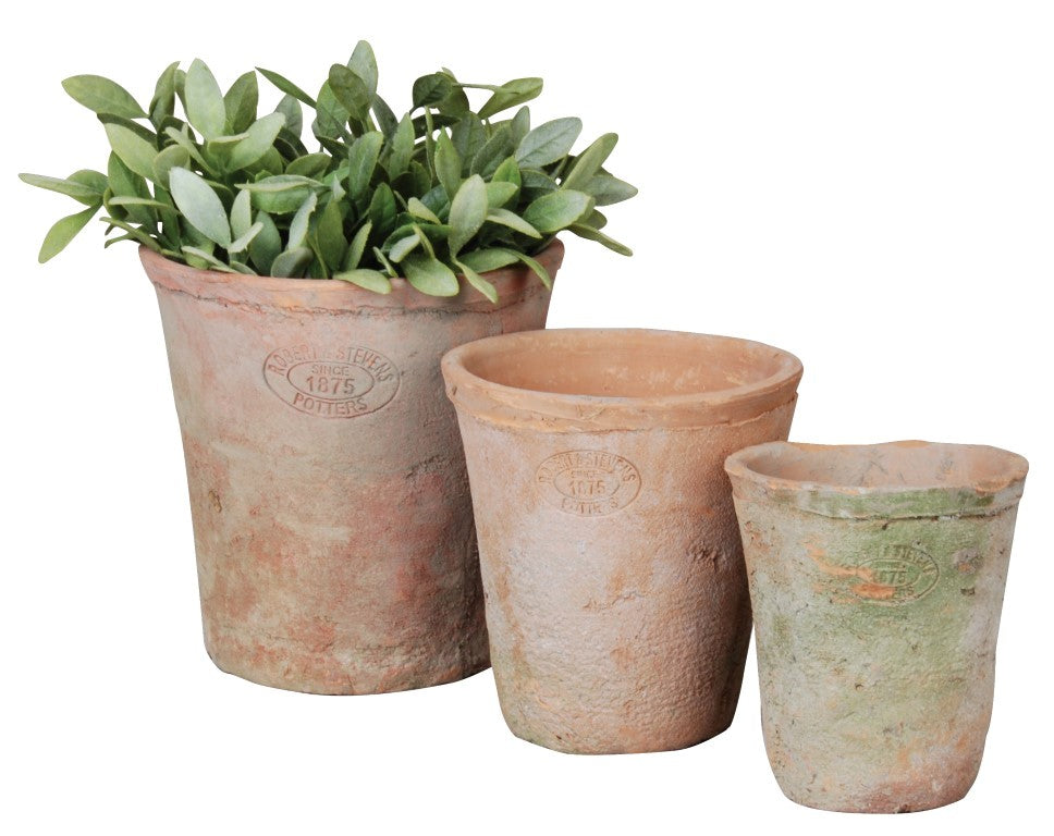 terracotta plant pot