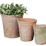 terracotta plant pot