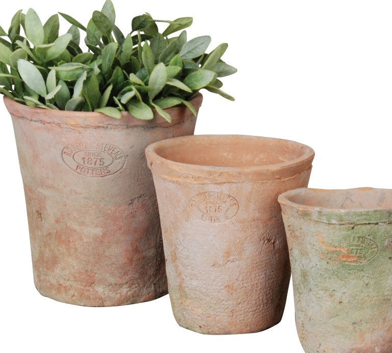 terracotta plant pot