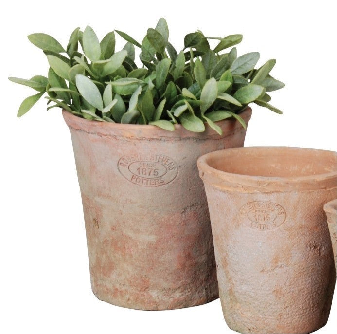 terracotta plant pot