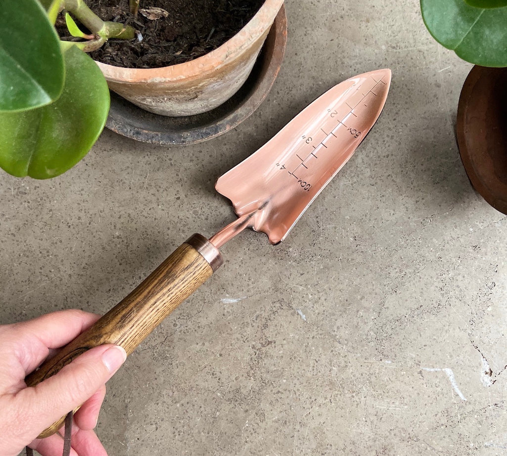 Copper plated garden trowel by fallen fruits