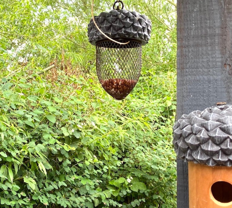 acorn shaped peanut bird feeder