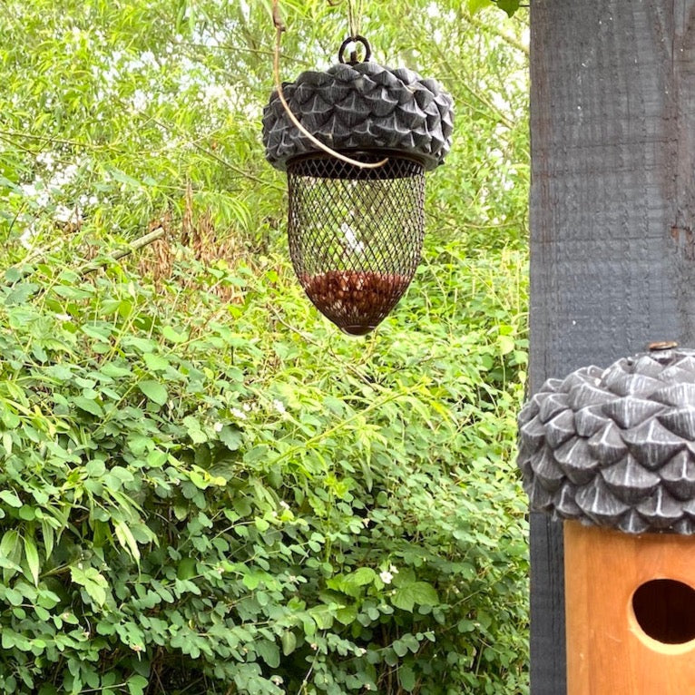 acorn shaped peanut bird feeder