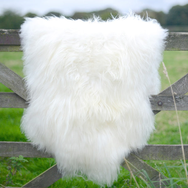 white Icelandic sheepskin rug 