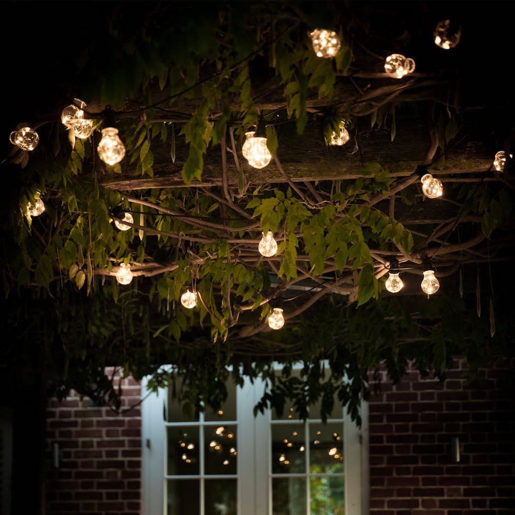 20 bulb garden festoon lights by Garden Trading