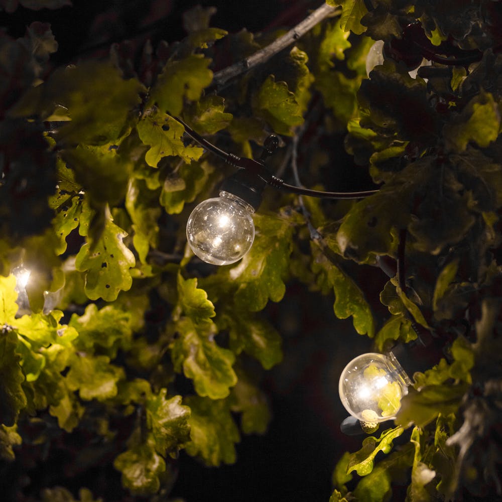 festoon garden lights 