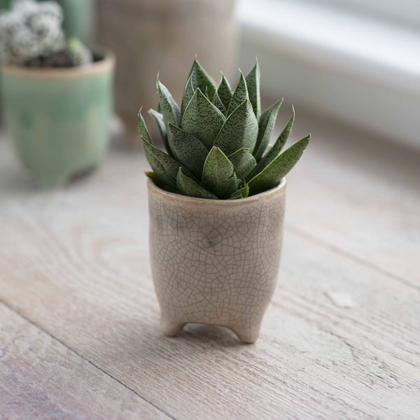 natural stone plant pot with crackle glaze