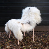 Spotted Icelandic sheepskin rug in white with black spots