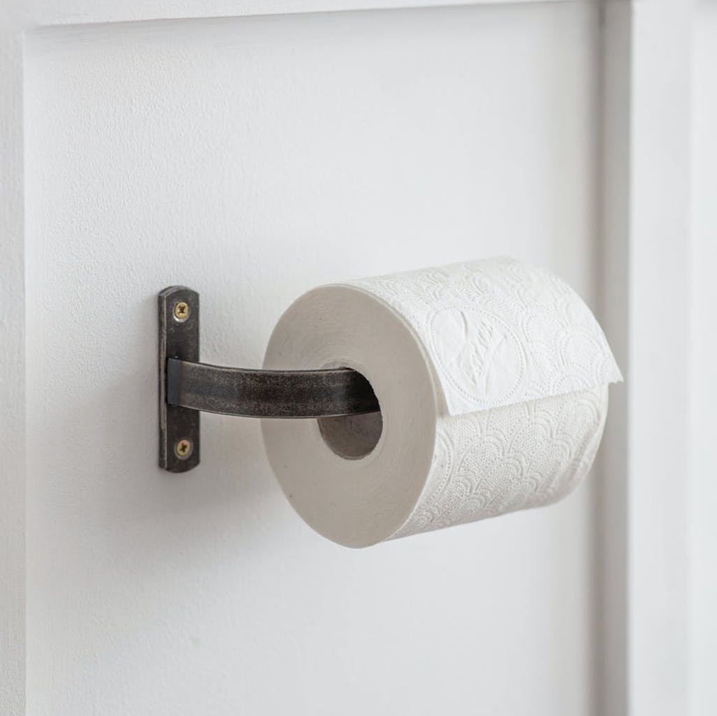 Farringdon toilet roll holder