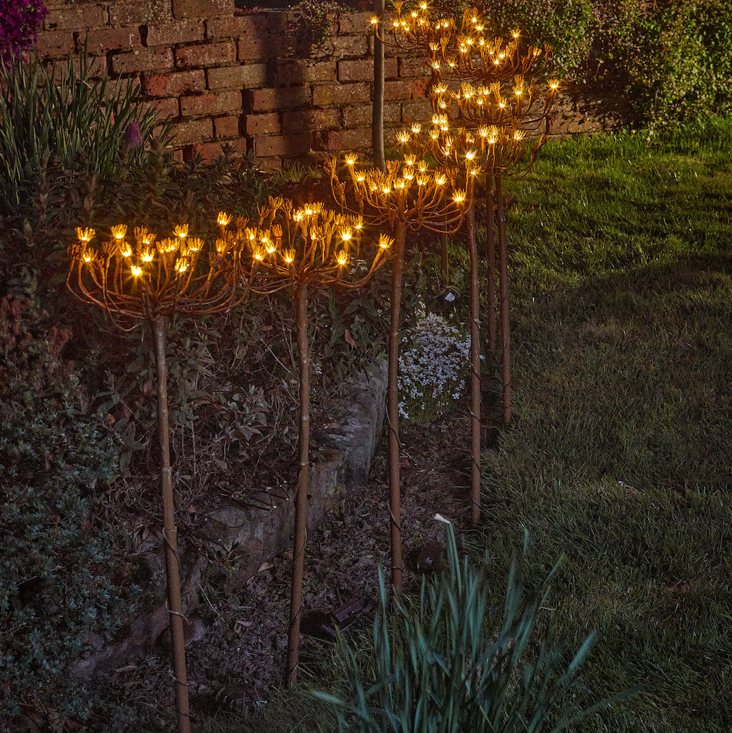 wild fennel solar lights by Light style