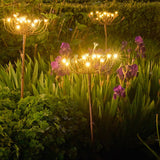 fennel solar lights for outdoors