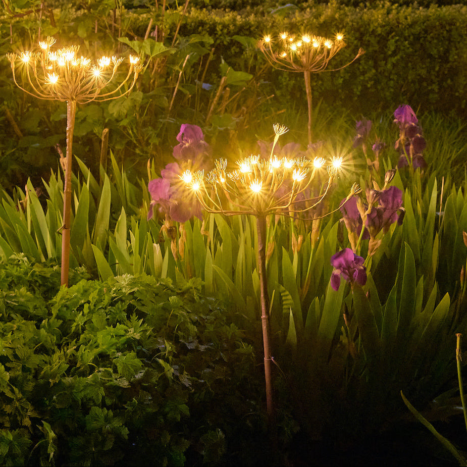 fennel solar lights for outdoors