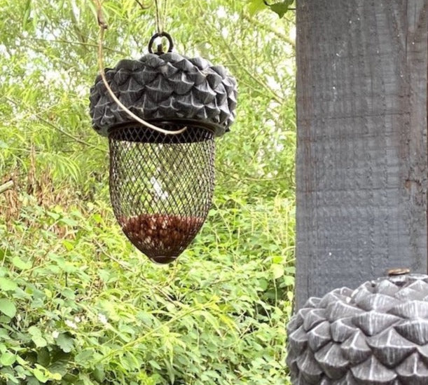 A acorn shaped bird feeder made from plastic coated metal, hanging from a tree.