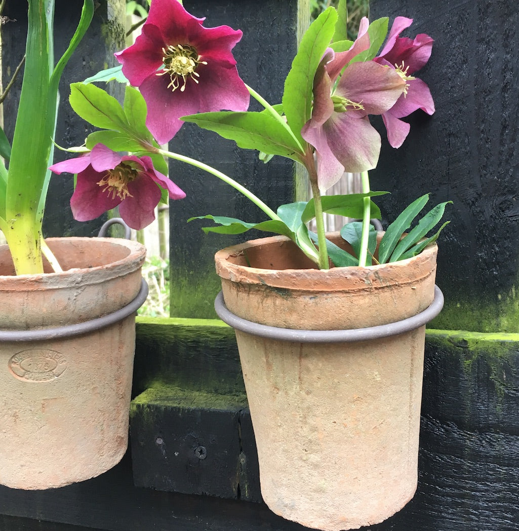 hanging terracotta plant pot 