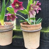 hanging terracotta plant pot 