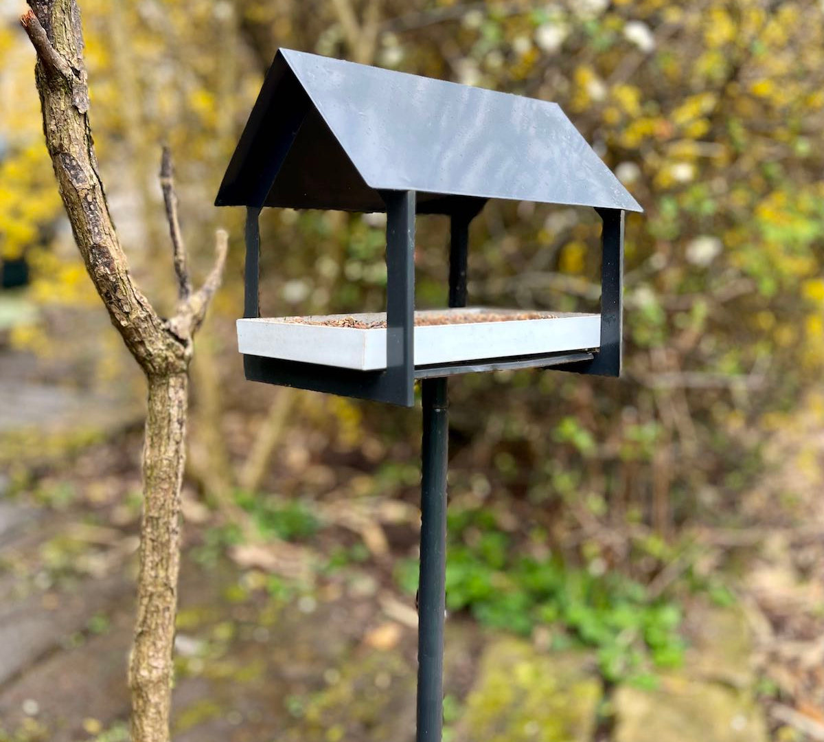 black metal bird feeder on stake