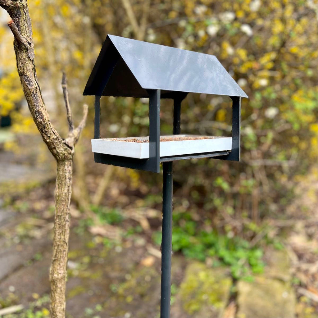 black metal bird feeder on stake